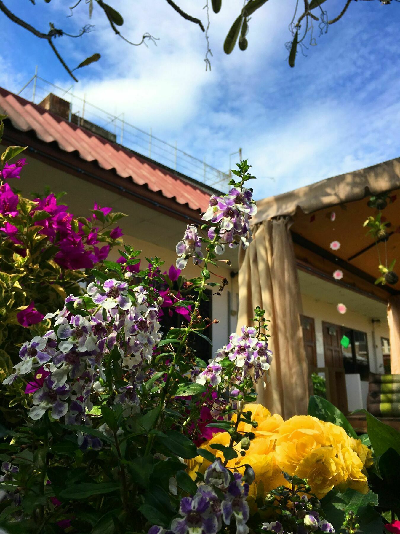 Cshouse Hotel เชียงใหม่ ภายนอก รูปภาพ