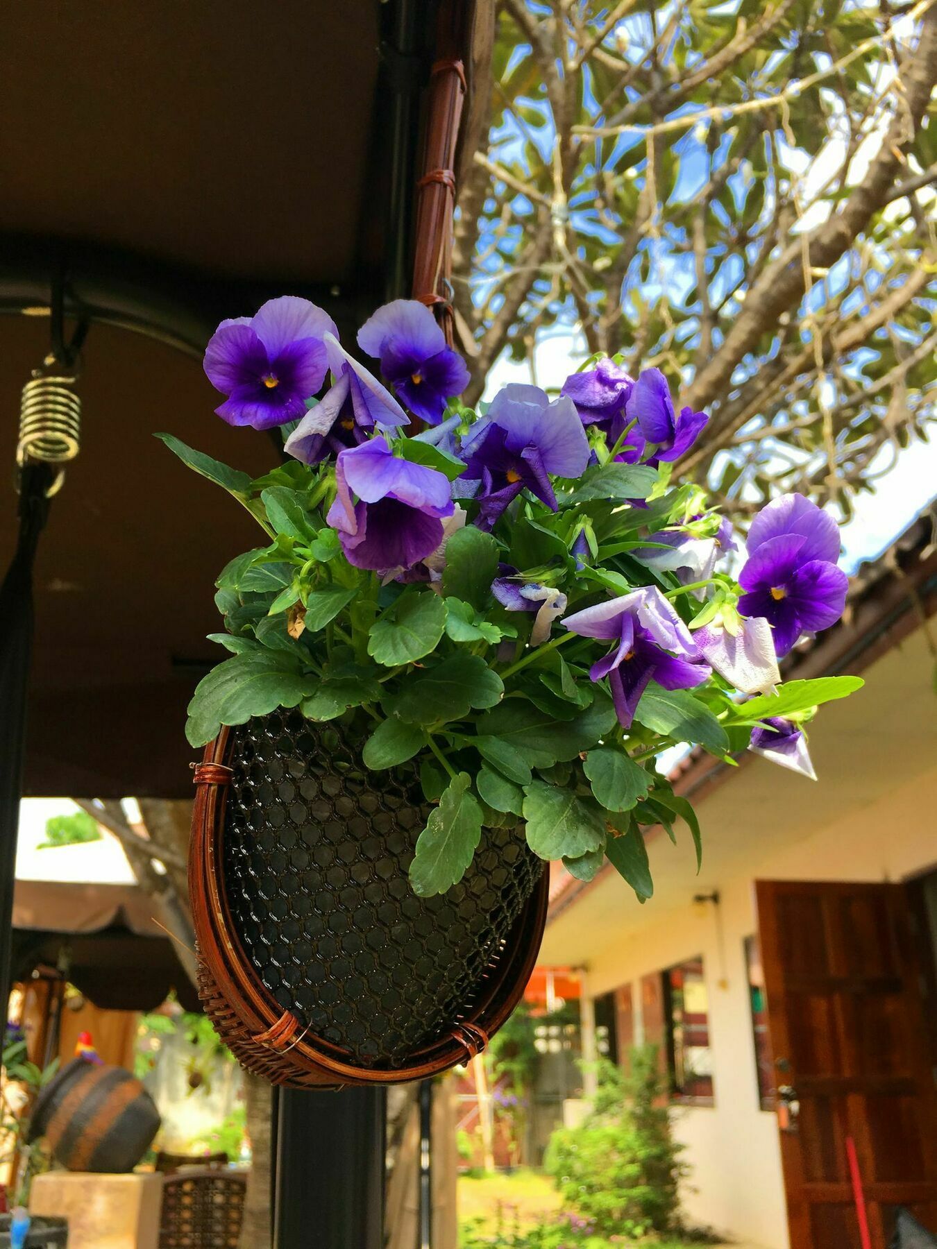 Cshouse Hotel เชียงใหม่ ภายนอก รูปภาพ